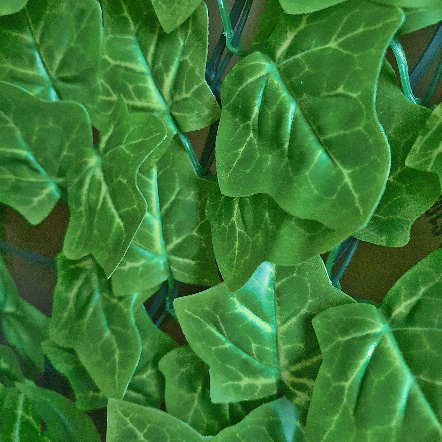 Premium Artificial Ivy Hedge Light Green - 3m
