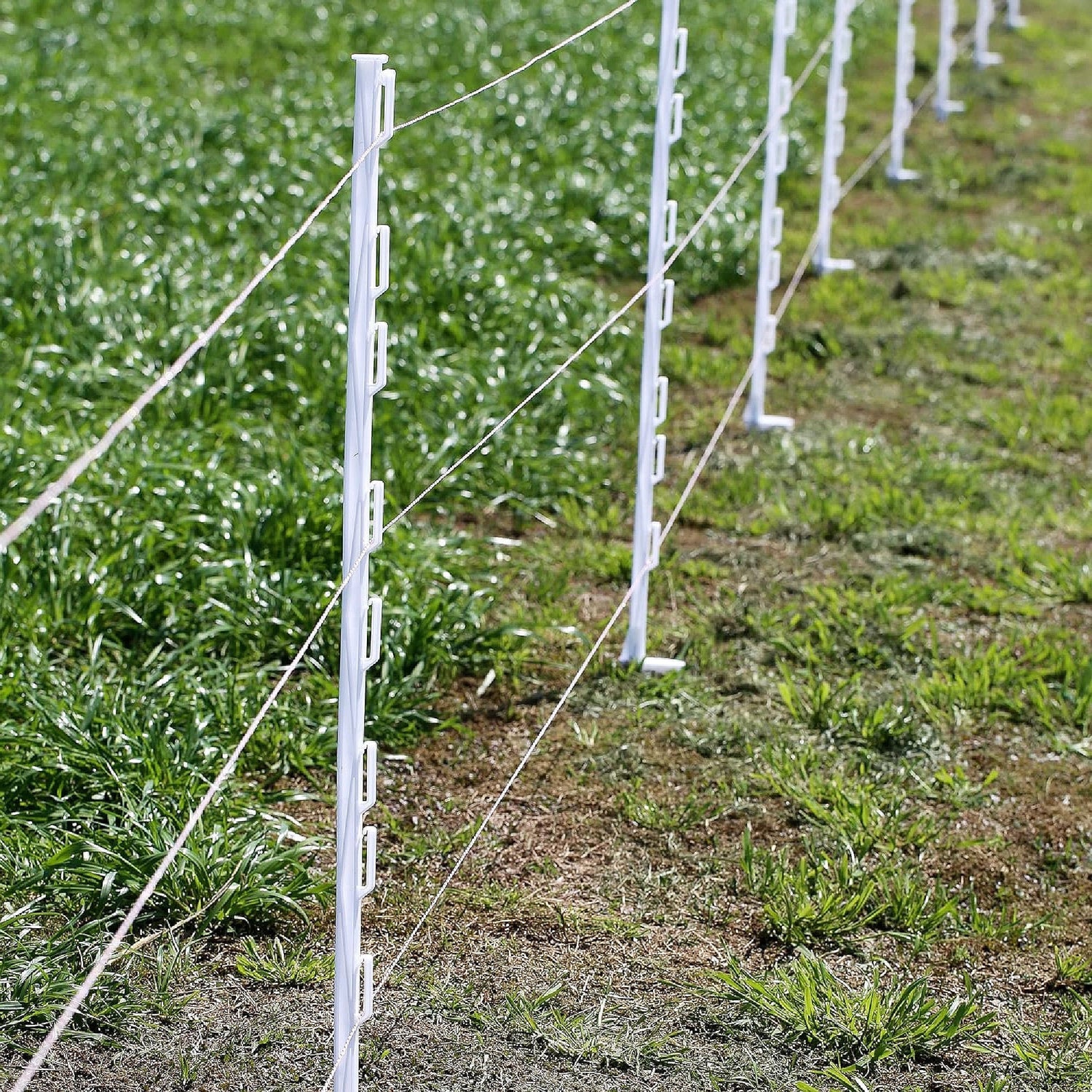 Posts & Fixings