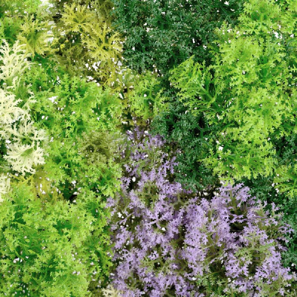 Artificial Moss Light Green Living Wall Panel 1m x 1m