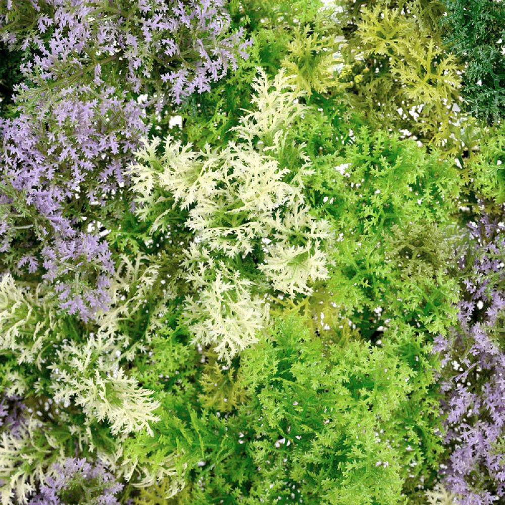 Artificial Moss Light Green Living Wall Panel 1m x 1m