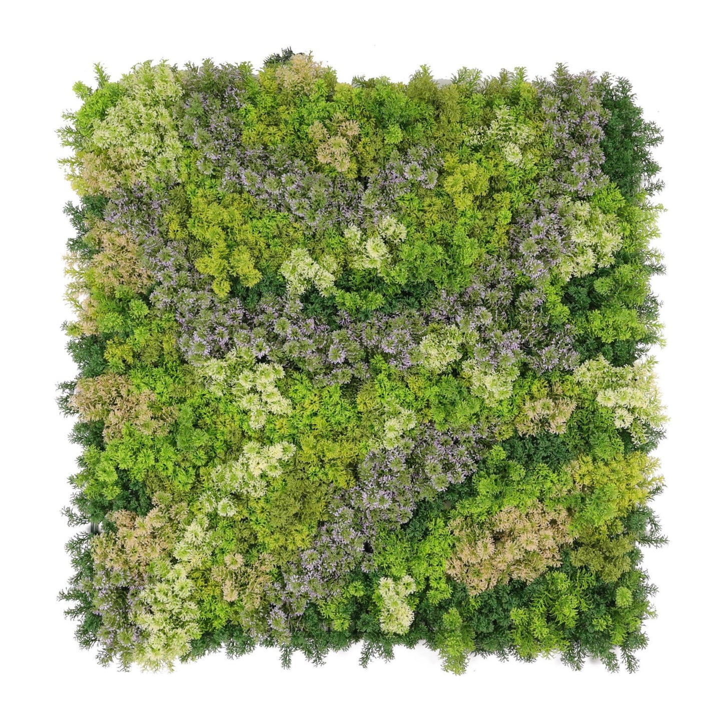 Artificial Moss Light Green Living Wall Panel 1m x 1m