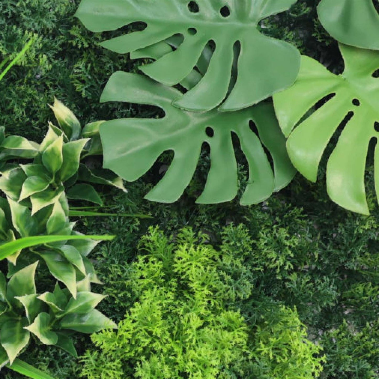Premium Artificial Green Wall Panel 1m x 50cm - Oasis