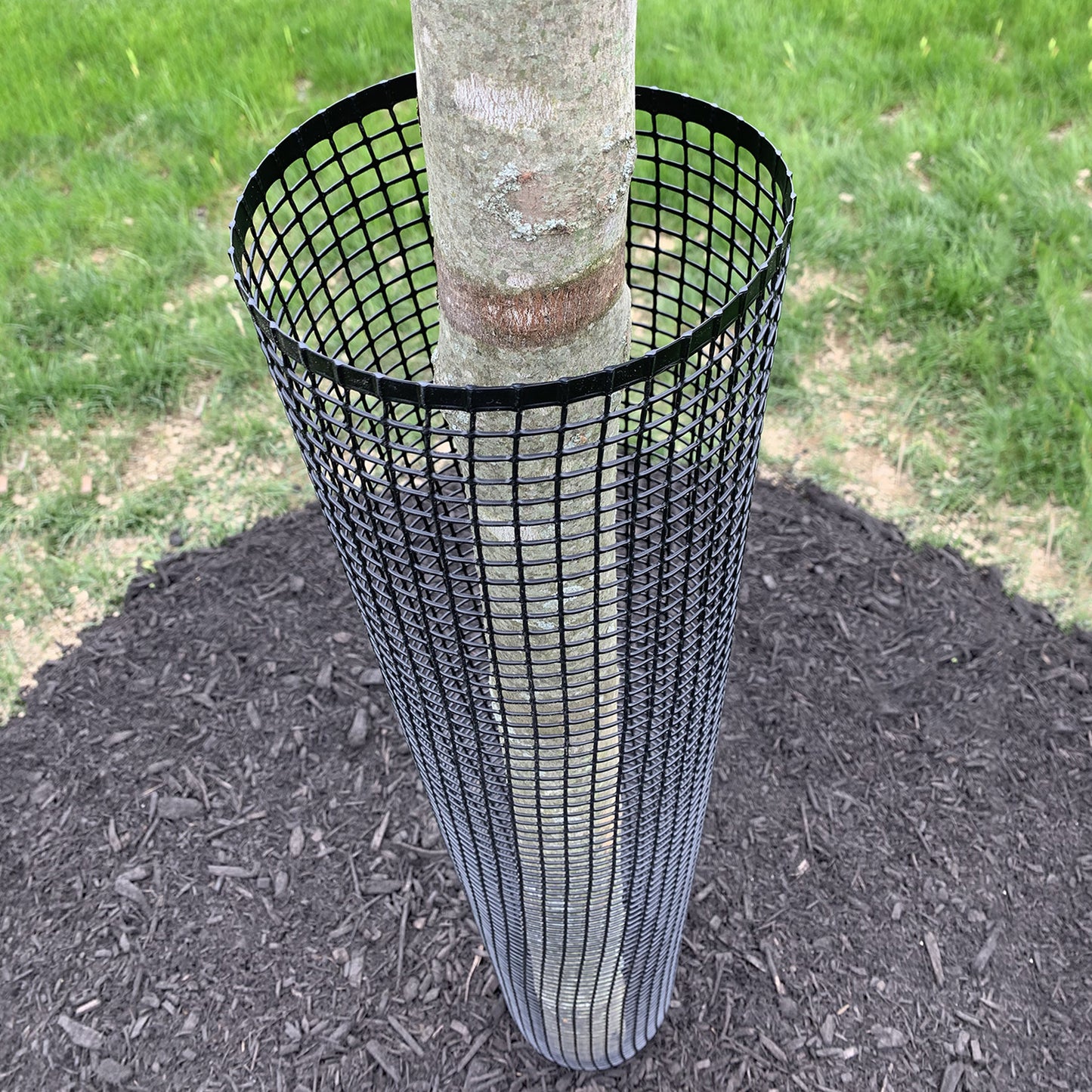 Tree Guard 50m Roll