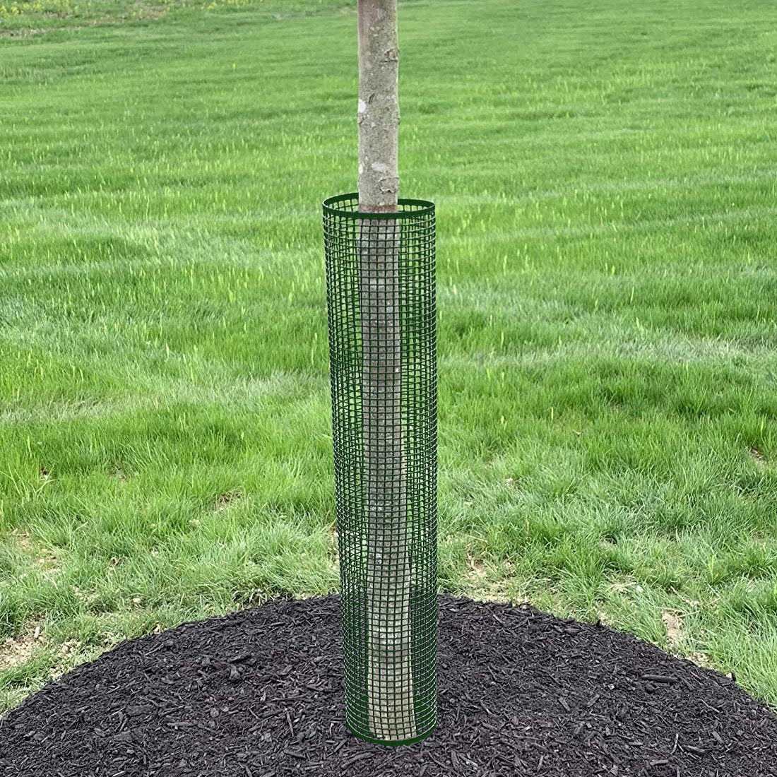 Tree Guard 50m Roll - Green