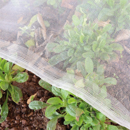 Fine Woven Insect Mesh 100m Rolls