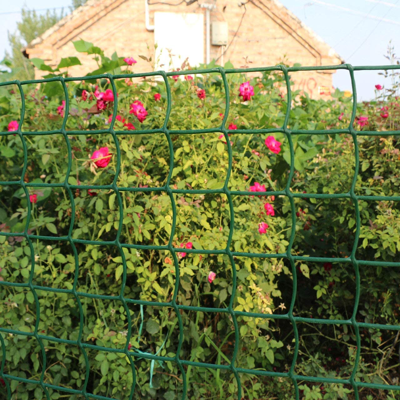 Plant Support Mesh - Green