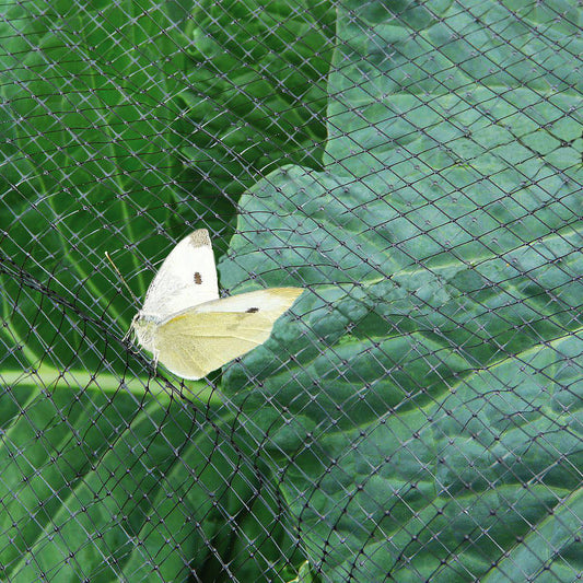 Anti-Butterfly Netting - Small Mesh 7mm x 6mm