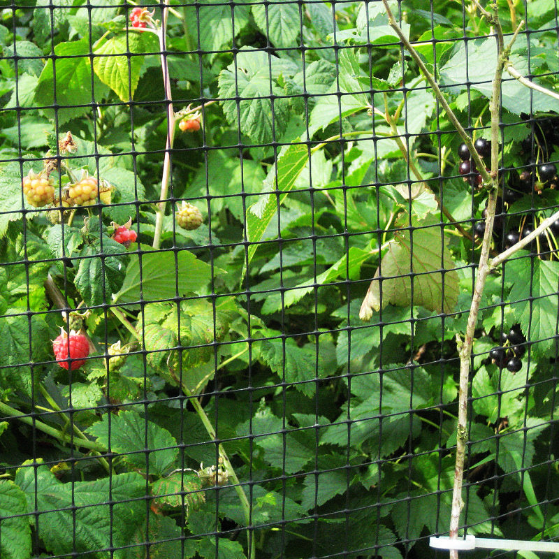 Heavy Duty Fruit & Cage Protection Mesh 200m Roll