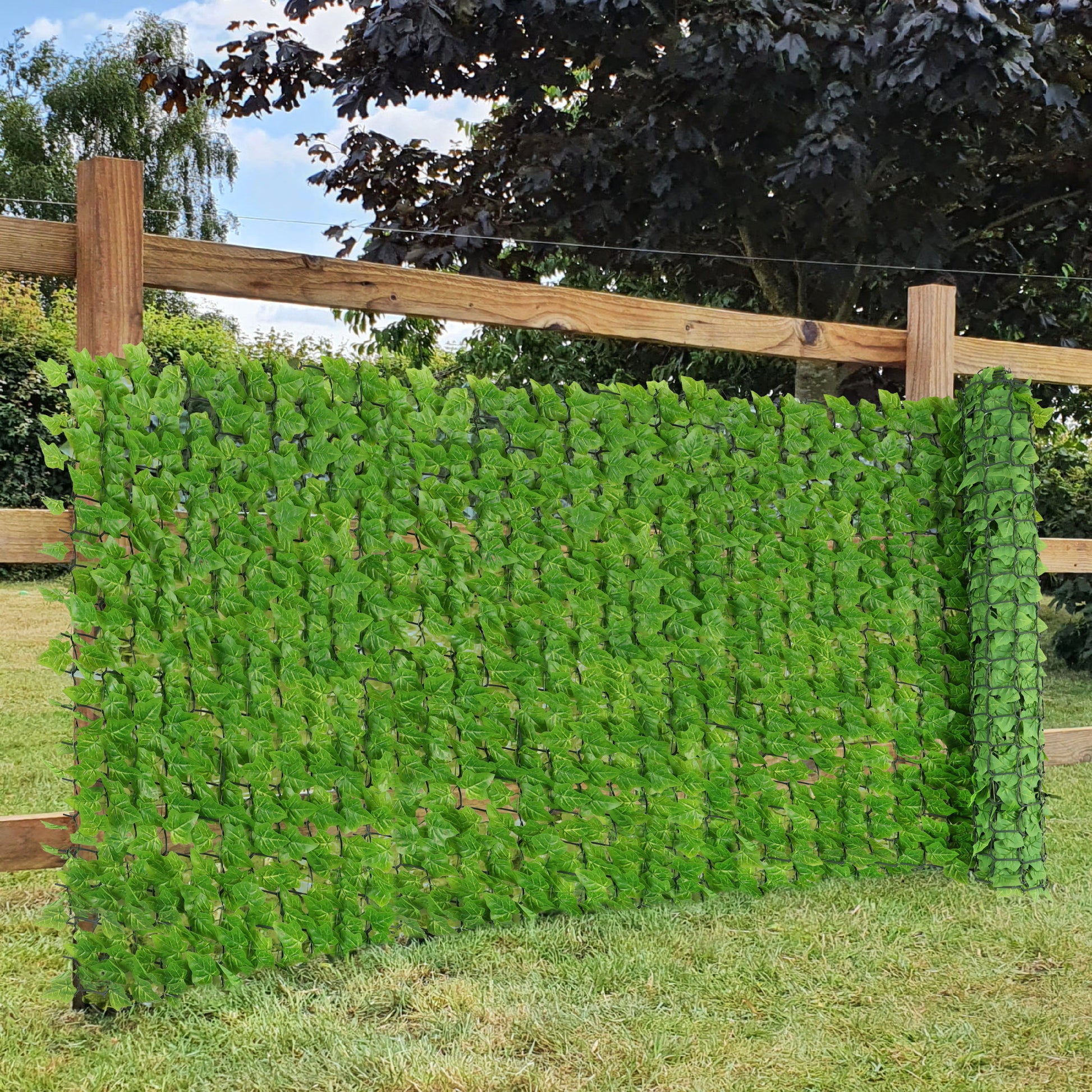 Premium Artificial Ivy Hedge Light Green - 3m