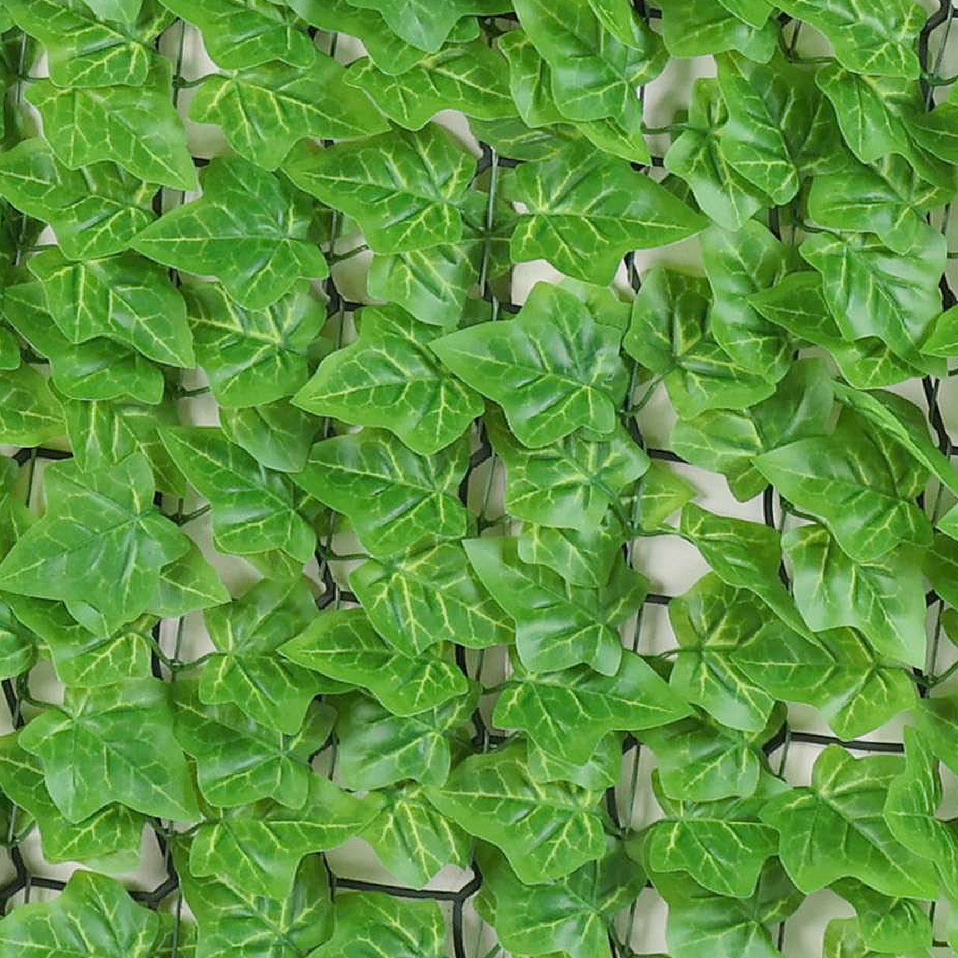 Premium Artificial Ivy Hedge Light Green - 3m