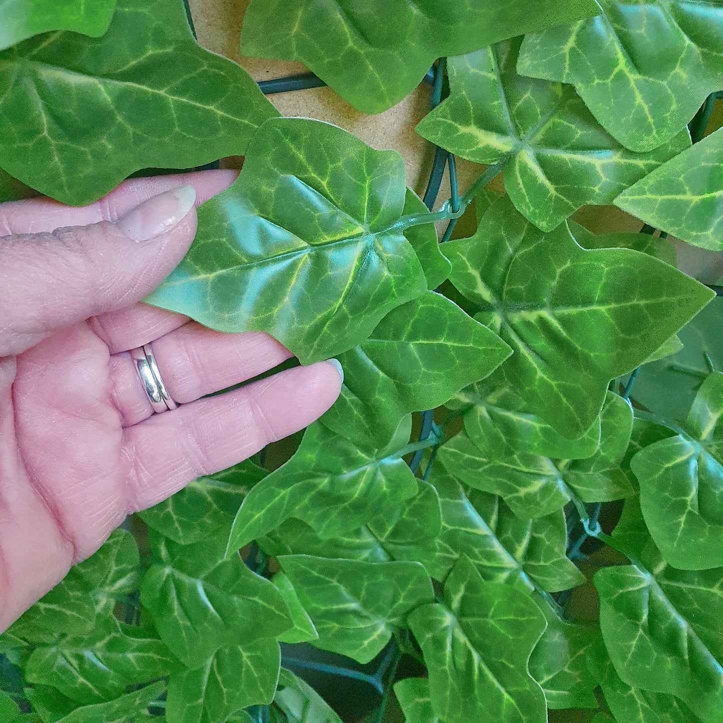 Premium Artificial Ivy Hedge Light Green - 3m