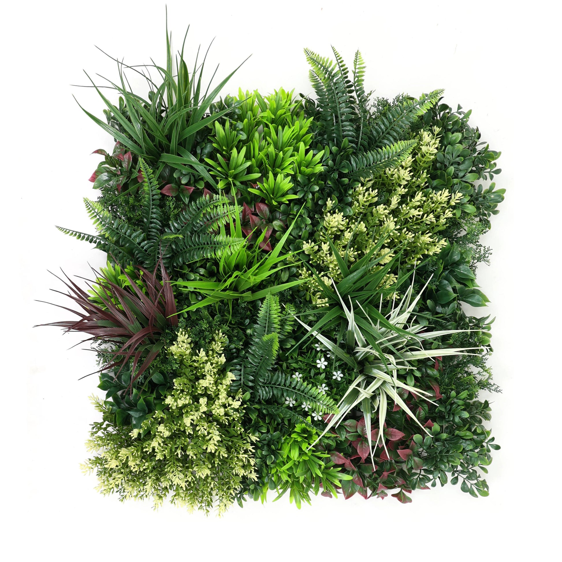 Premium Artificial Green Living Wall Panel 50 x 50cm - Carnival A
