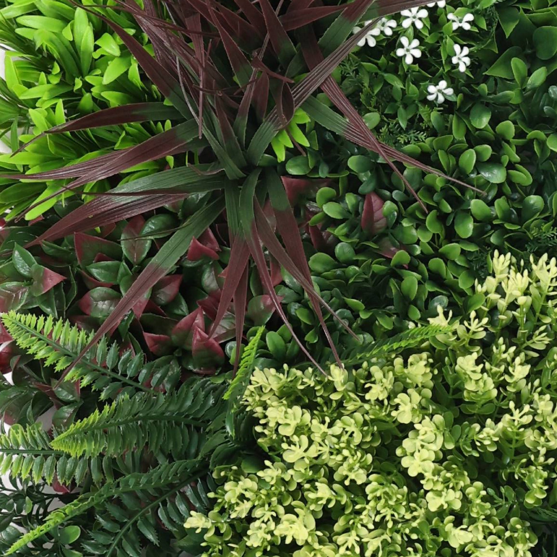 Premium Artificial Green Living Wall Panel 50 x 50cm - Carnival B