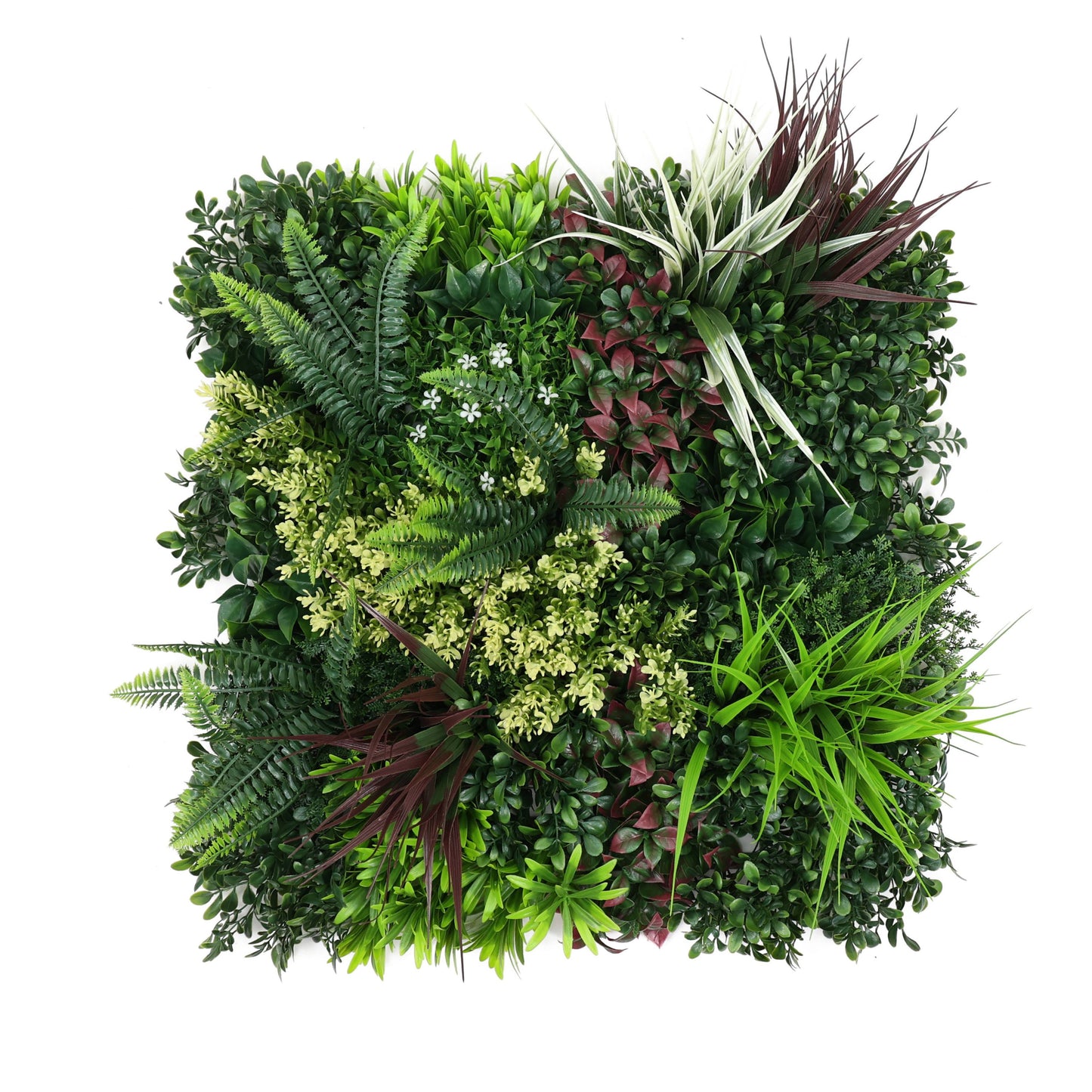 Premium Artificial Green Living Wall Panel 50 x 50cm - Carnival C