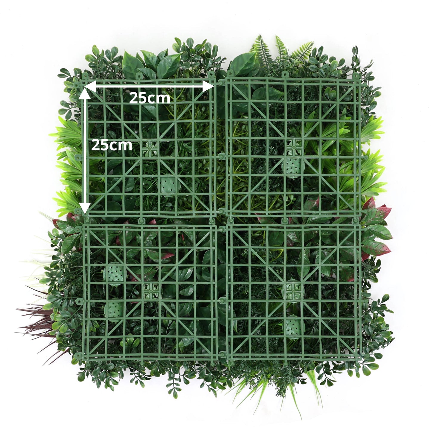 Premium Artificial Green Living Wall Panel 50 x 50cm - Carnival C