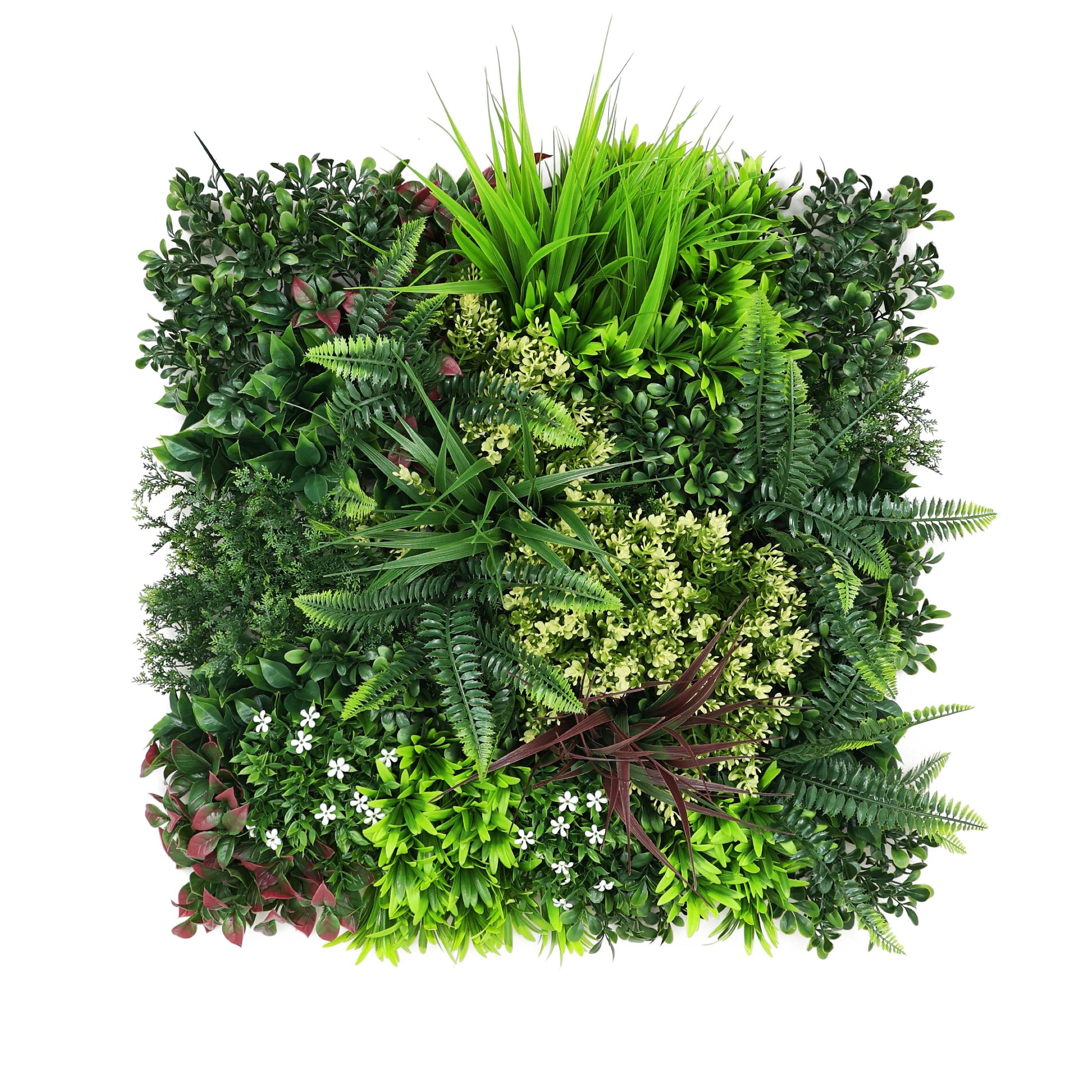 Premium Artificial Green Living Wall Panel 50 x 50cm - Carnival D