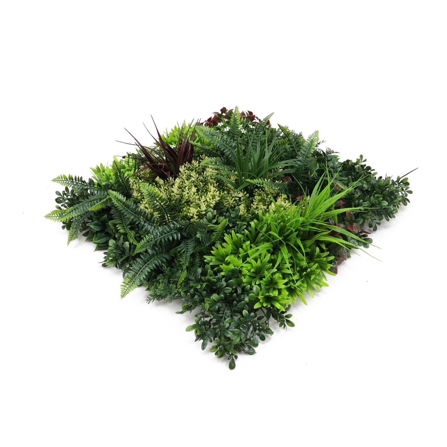 Premium Artificial Green Living Wall Panel 50 x 50cm - Carnival D