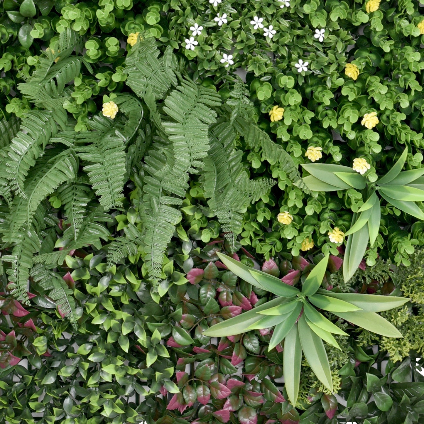 Premium Artificial Green Wall Panel 1m x 50cm - Wonderland