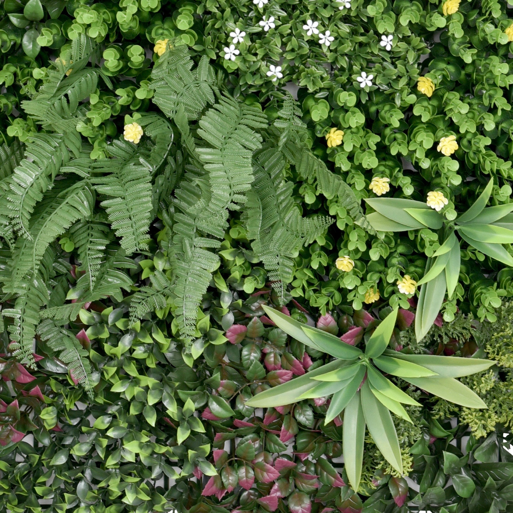 Premium Artificial Green Wall Panel 1m x 50cm - Wonderland