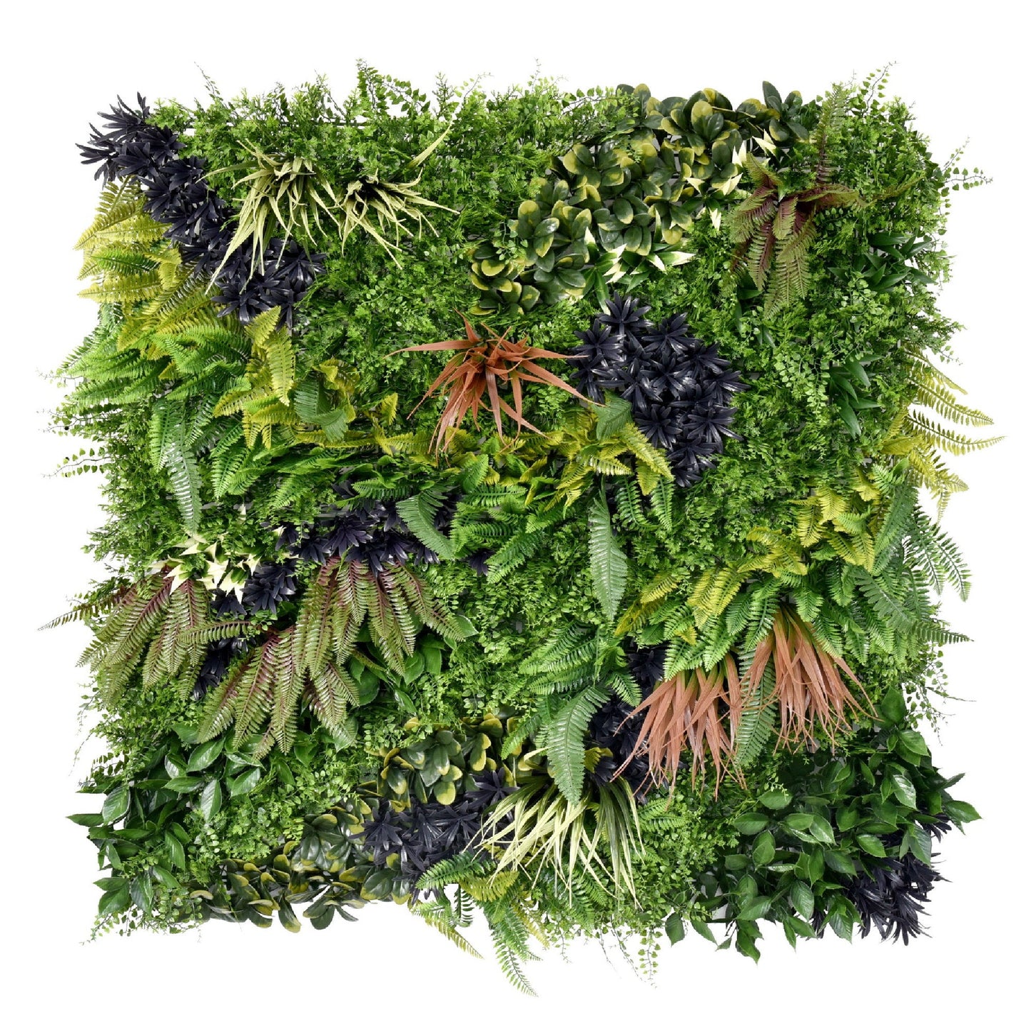 Premium Artificial Green Wall Panel 1m x 1m - Charm C