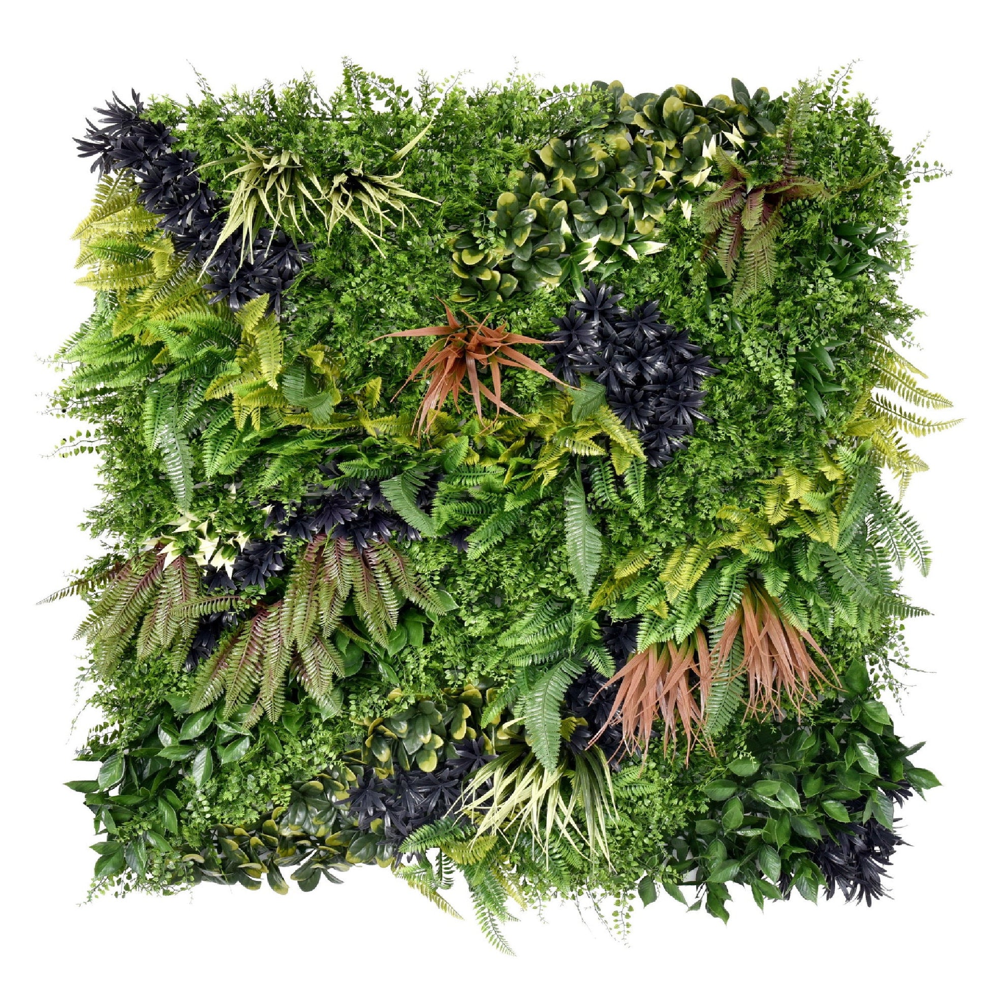 Premium Artificial Green Wall Panel 1m x 1m - Charm C