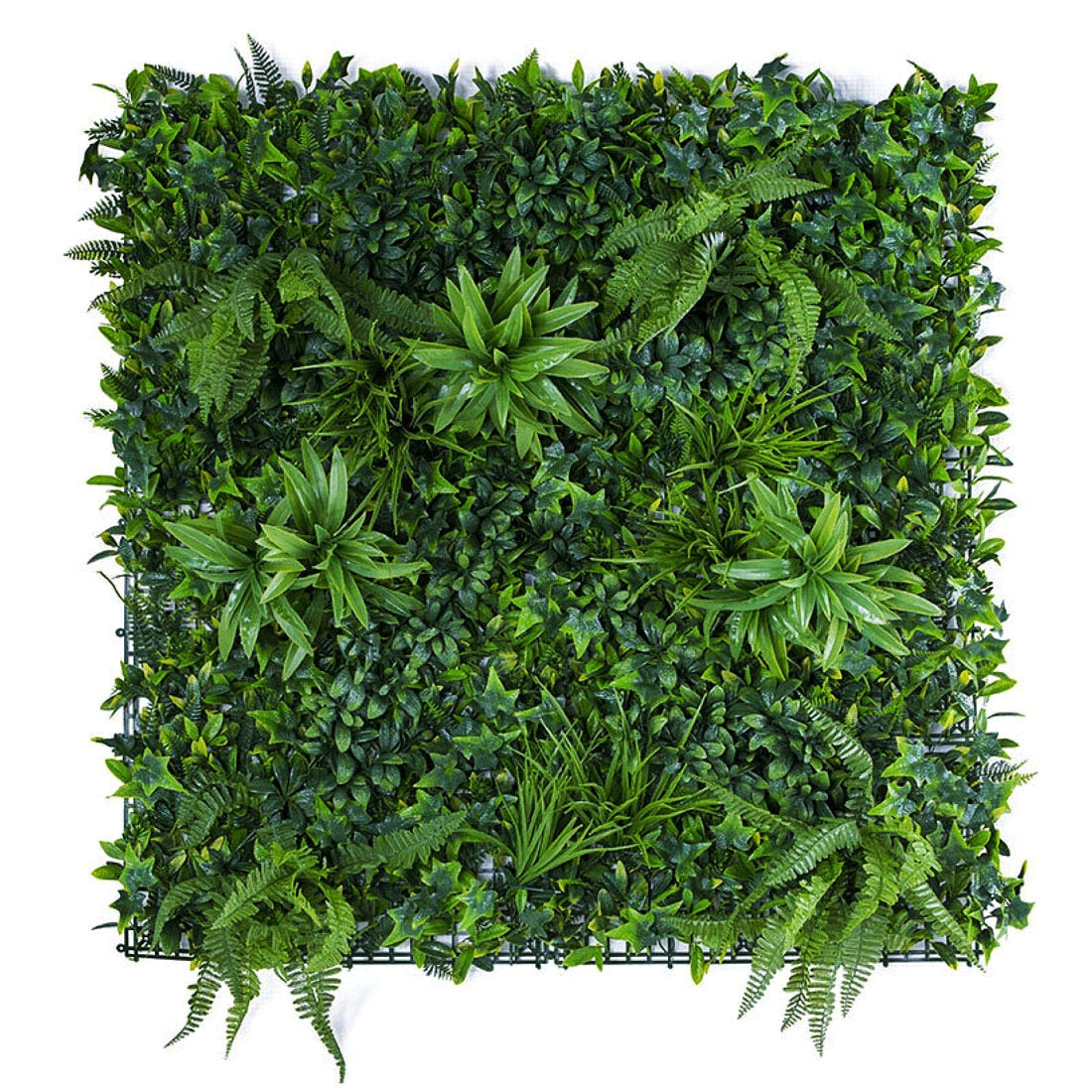 Artificial Living Green Wall Panel 1m x 1m - Forest Fern
