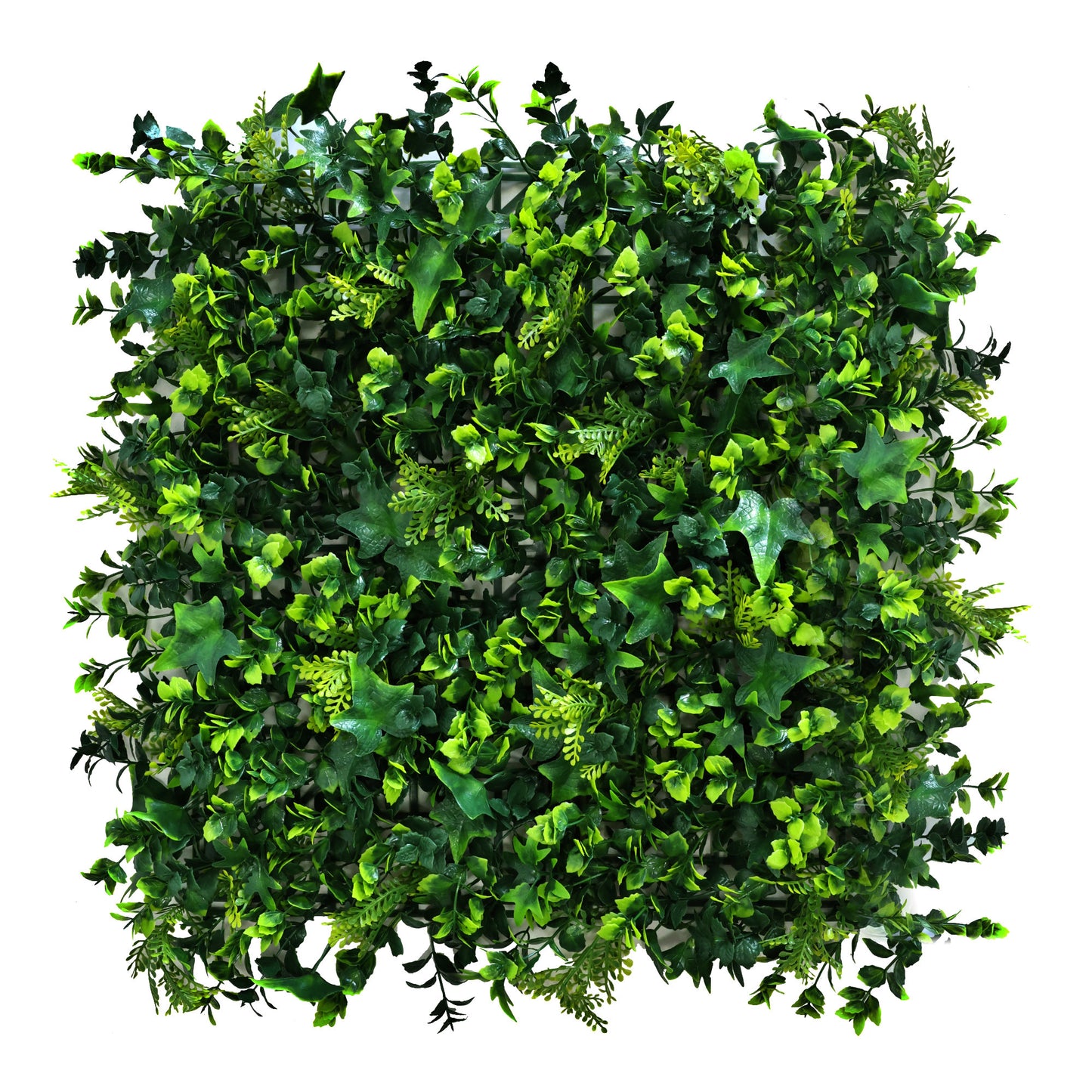 Premium Artificial Ivy Green Living Wall Panel 50 x 50cm