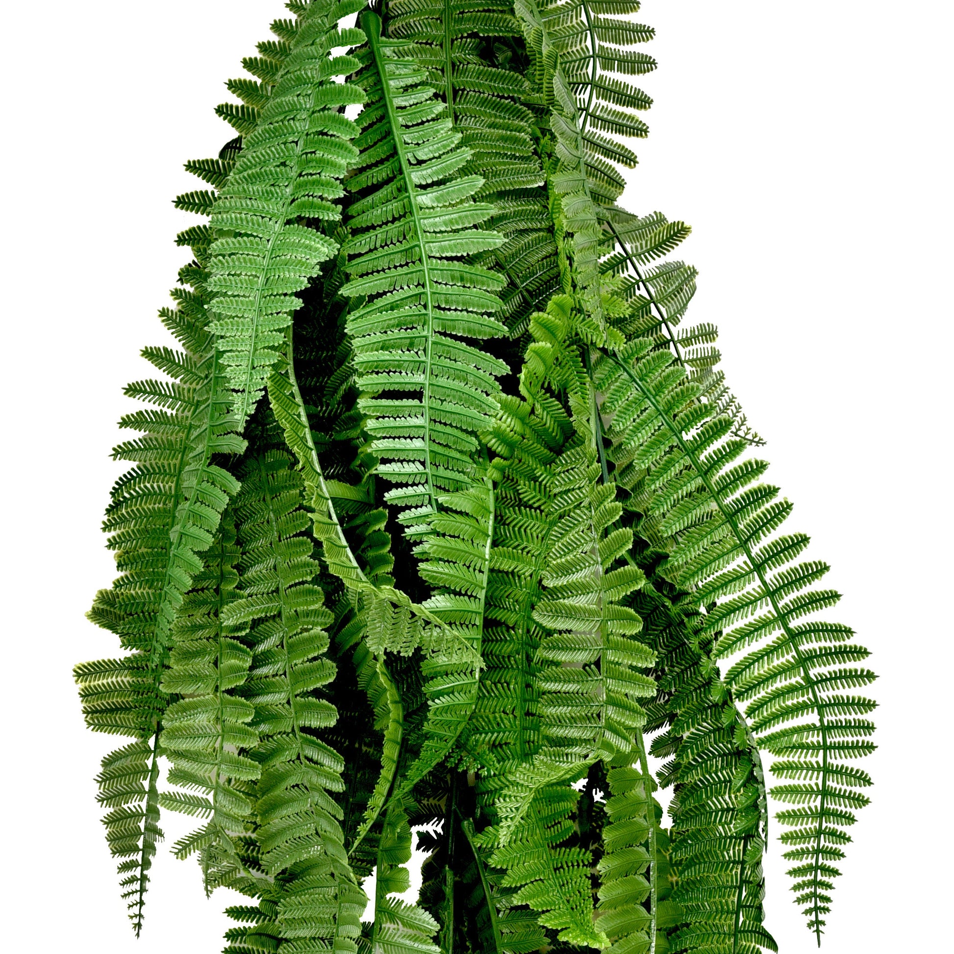 Artificial Persian Fern Hanging Vine 75cm