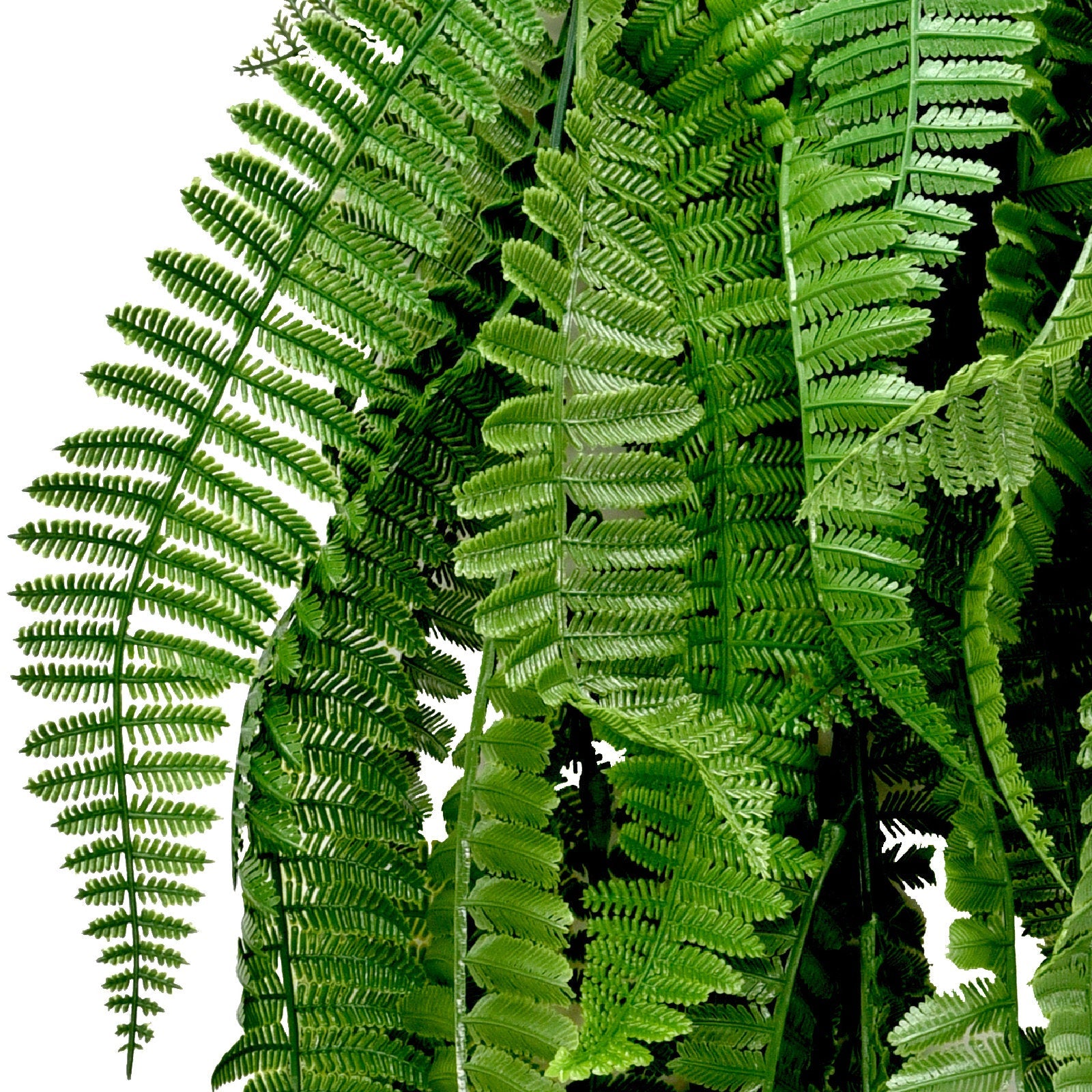 Artificial Persian Fern Hanging Vine 75cm