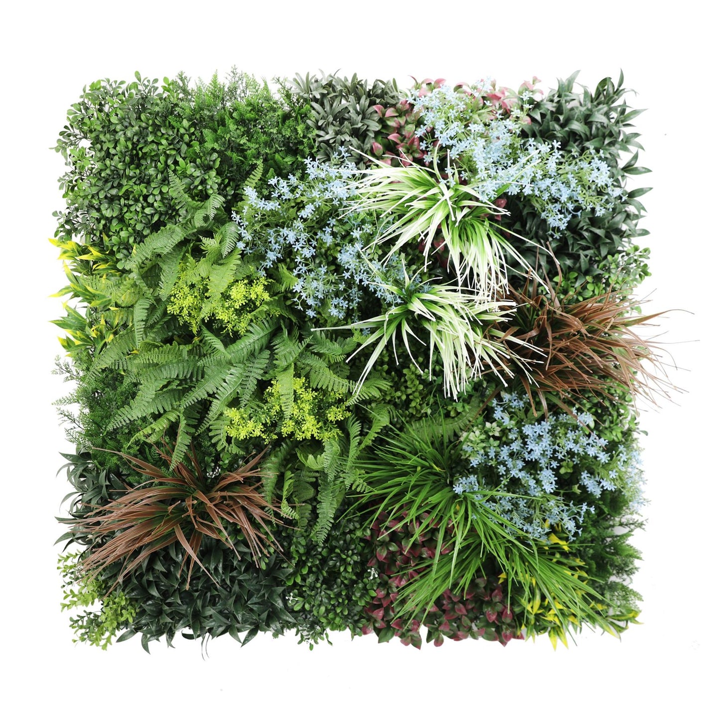 Premium Artificial Plants Green Living Wall Panel 1m x 1m - Pandora C