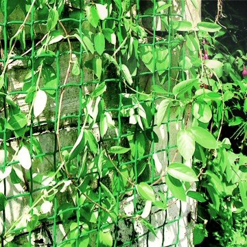 Plant Support Mesh - Green