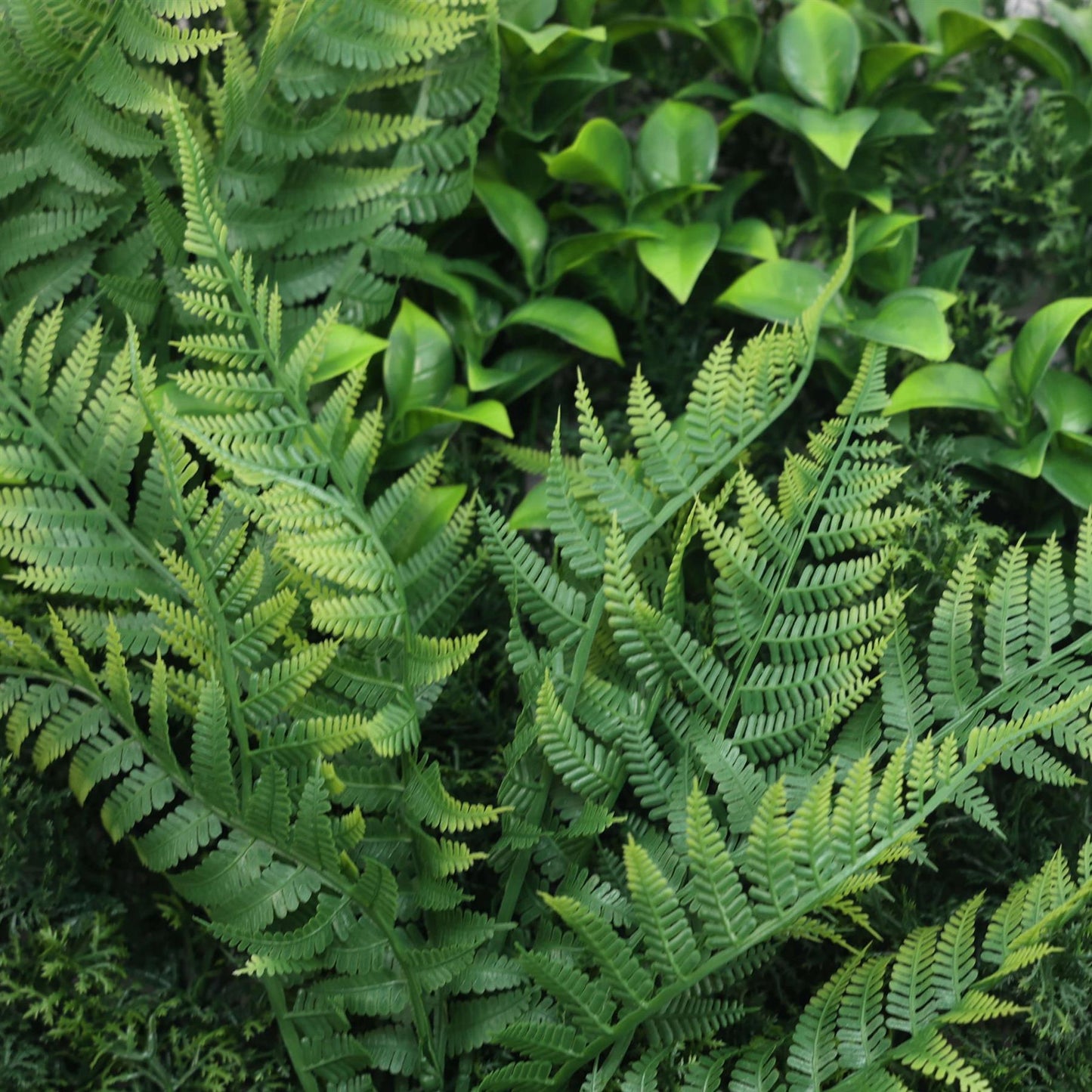 Premium Artificial Green Wall Panel 1m x 50cm - Oasis