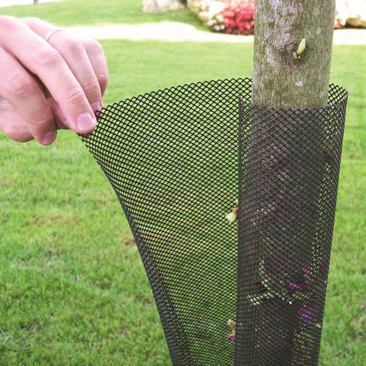 Expanding Tree Guard Protector - 5 or 100 pk