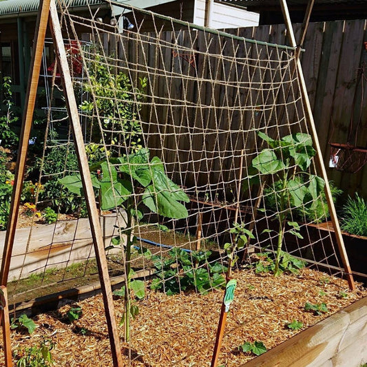 Biodegradable Natural Jute Pea and Bean Netting