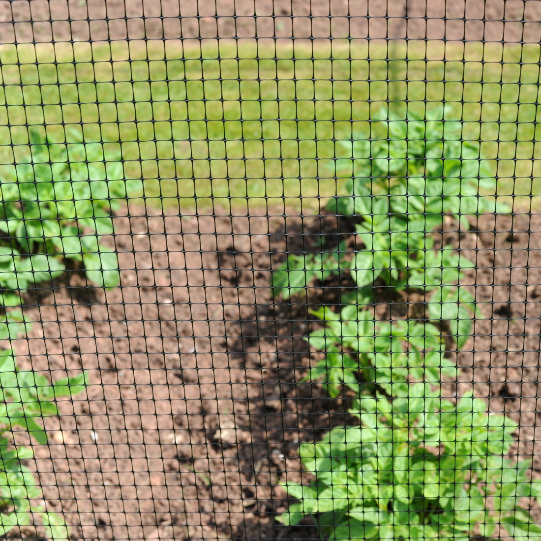 Heavy Duty Fruit & Cage Protection Mesh 200m Roll