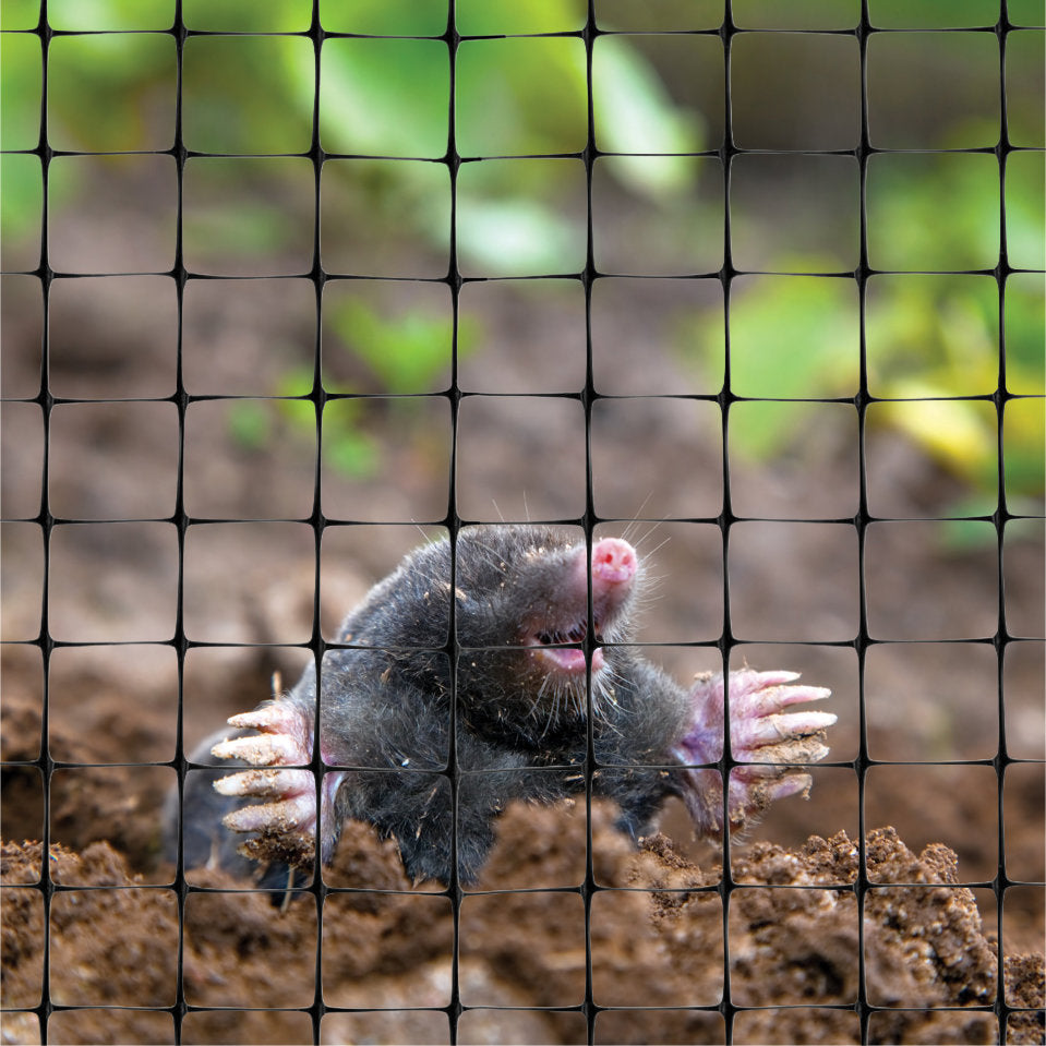 Anti Mole Netting 200m Roll