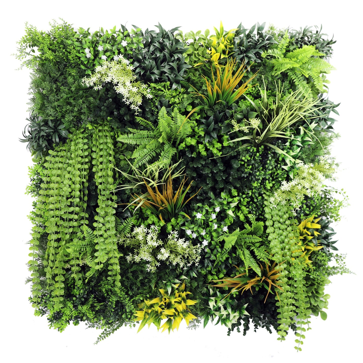 Premium Artificial Green Wall Panel 1m x 1m - Amazon