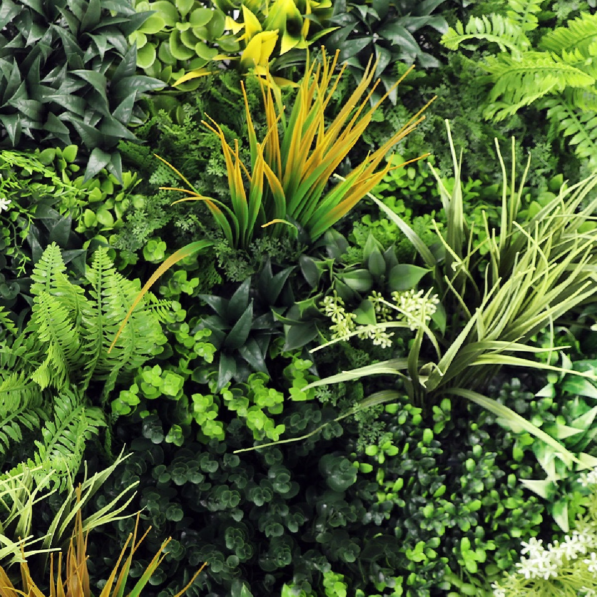 Premium Artificial Green Wall Panel 1m x 1m - Amazon