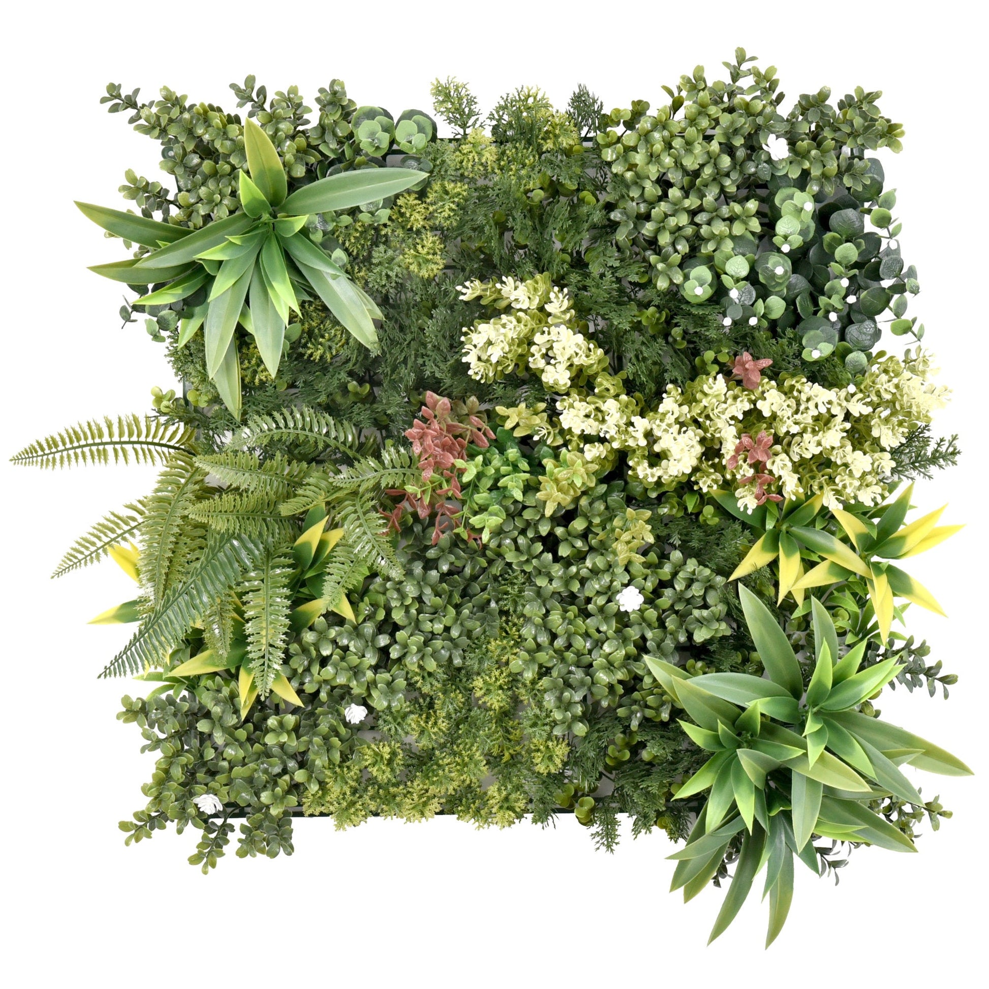 Premium Artificial Green Wall Panel 50cm x 50cm - Aurora