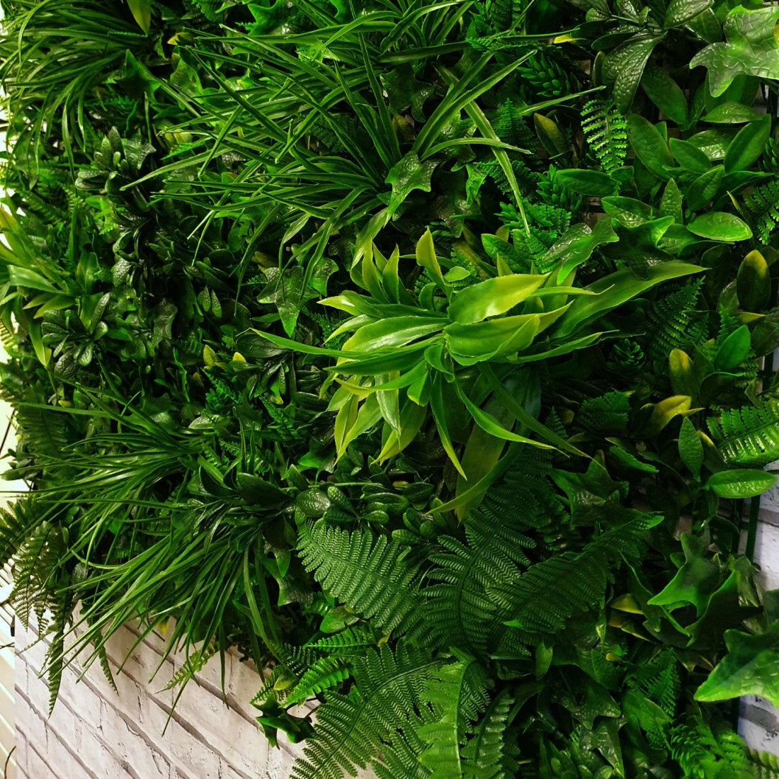 Artificial Living Green Wall Panel 1m x 1m - Forest Fern