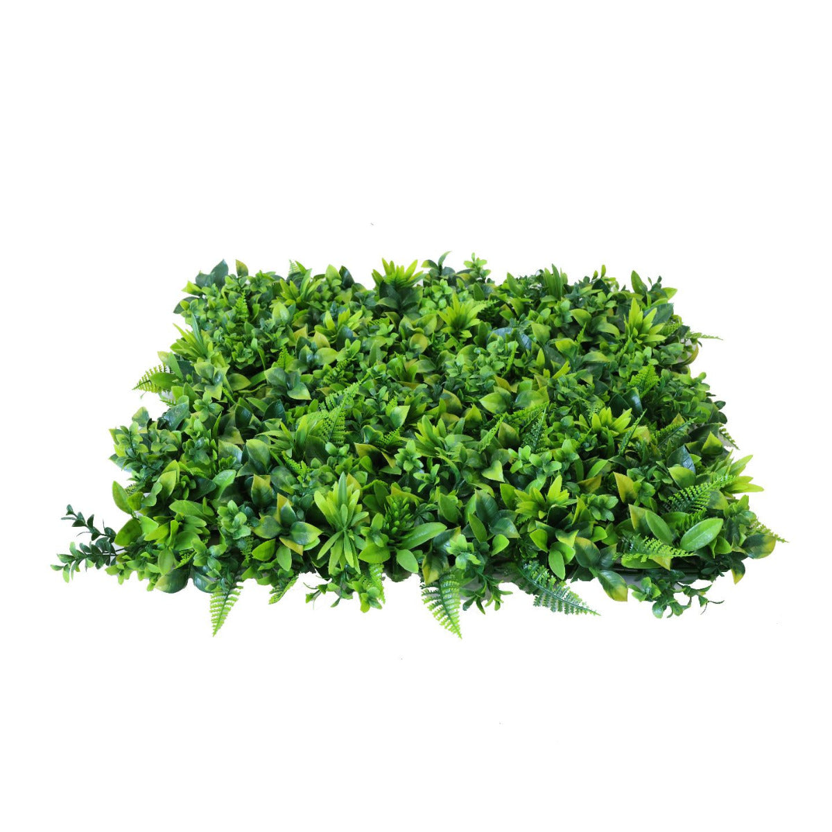 Artificial 'Green Fern' Living Wall Hedge Panel 50 x 50cm