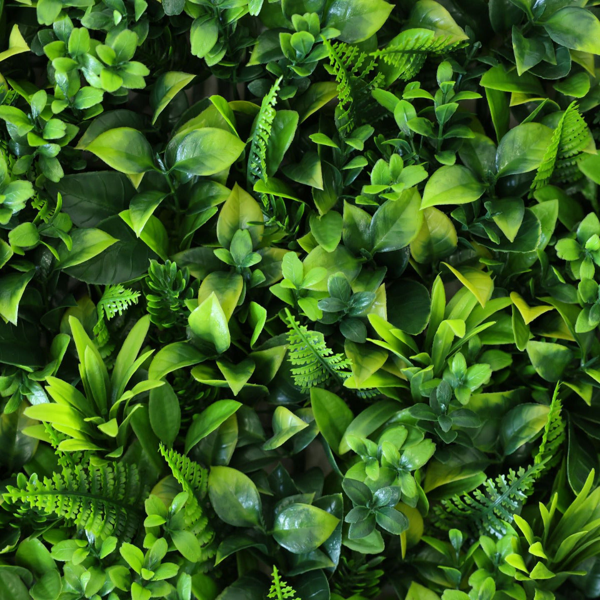 Artificial 'Green Fern' Living Wall Hedge Panel 50 x 50cm
