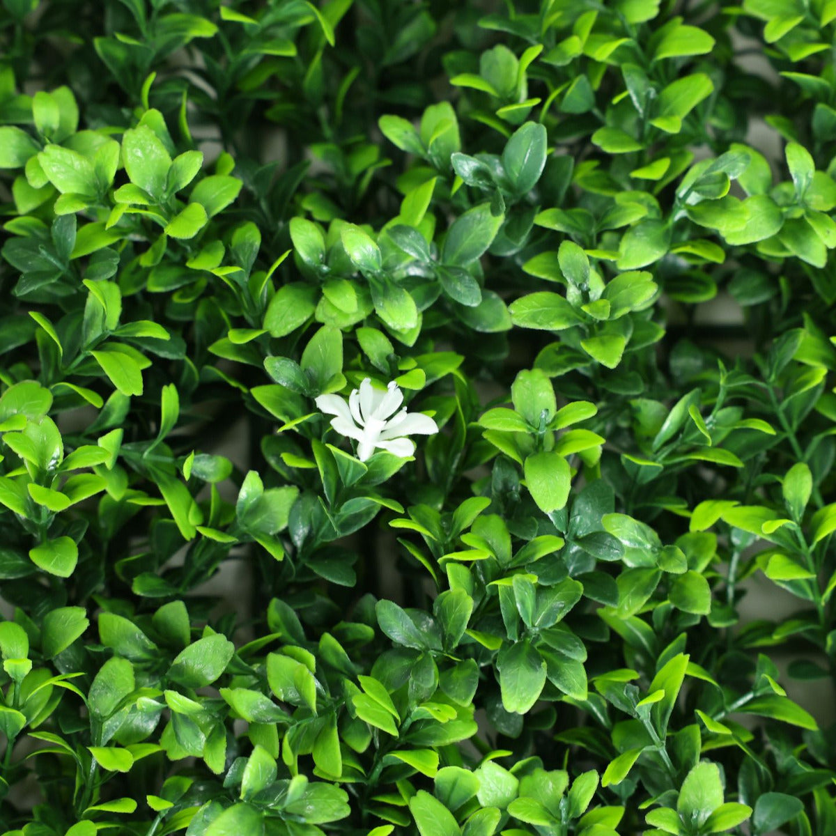 Artificial 'White Flower' Living Wall Hedge Panel 50 x 50cm