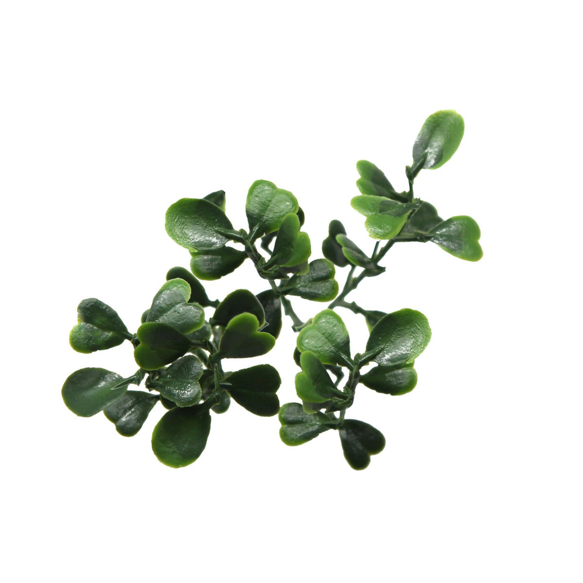 Boxwood Artificial Living Wall Panel Green 50cm x 50cm