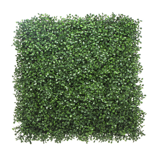 Boxwood Artificial Living Wall Panel Green 50cm x 50cm