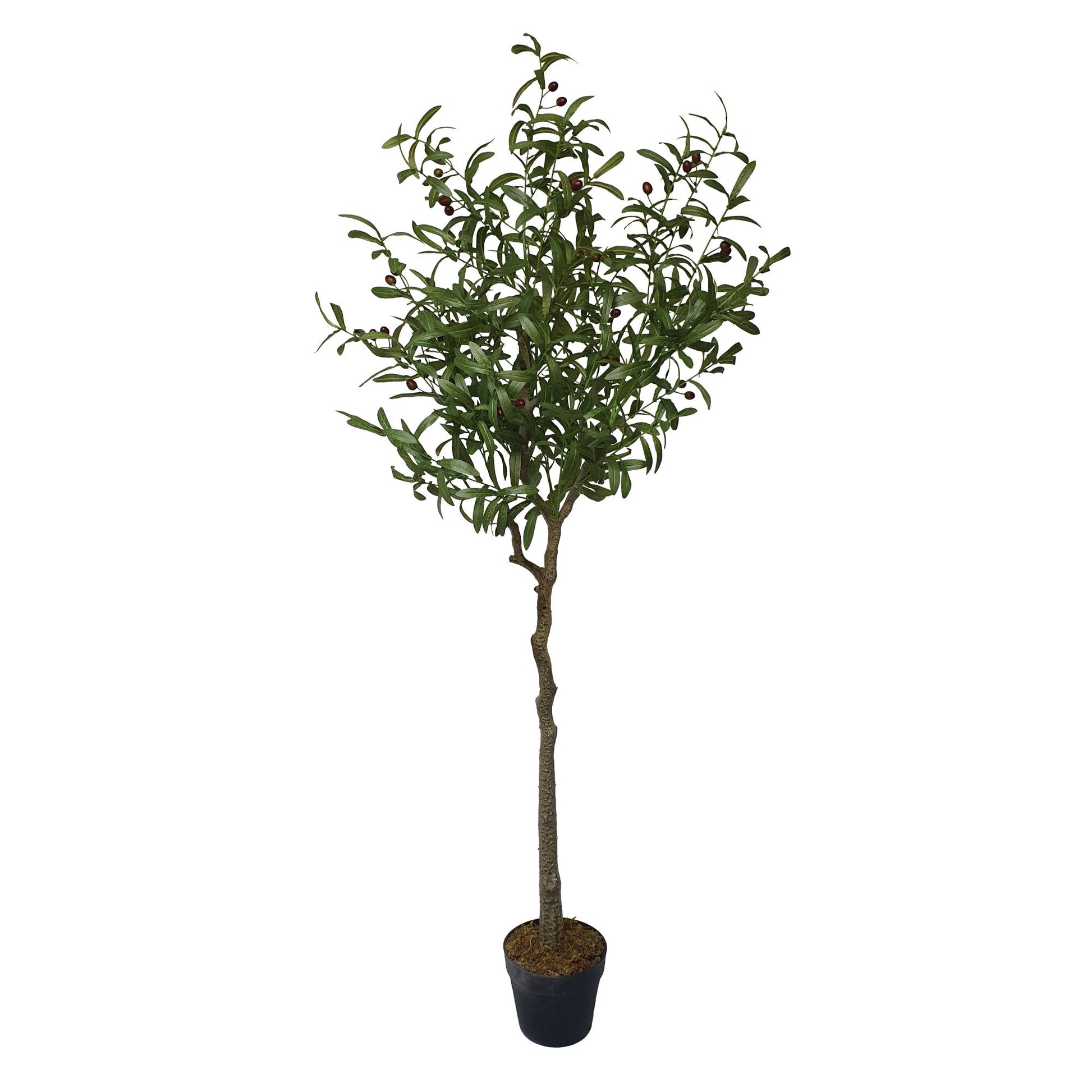 Artificial Olive Tree Tree 170cm