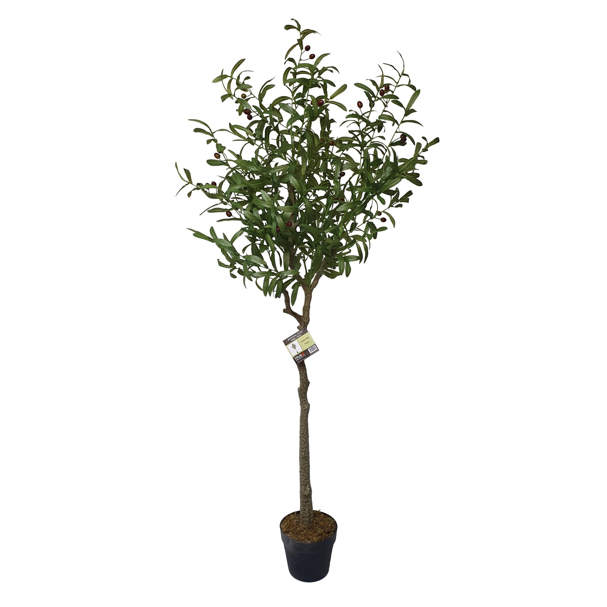 Artificial Olive Tree Tree 170cm