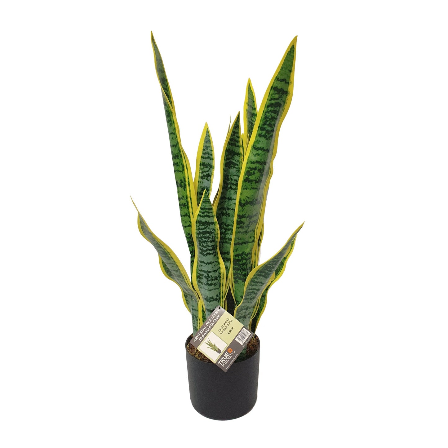 Artificial Dracaena Trifasciata Snake Plant 65cm