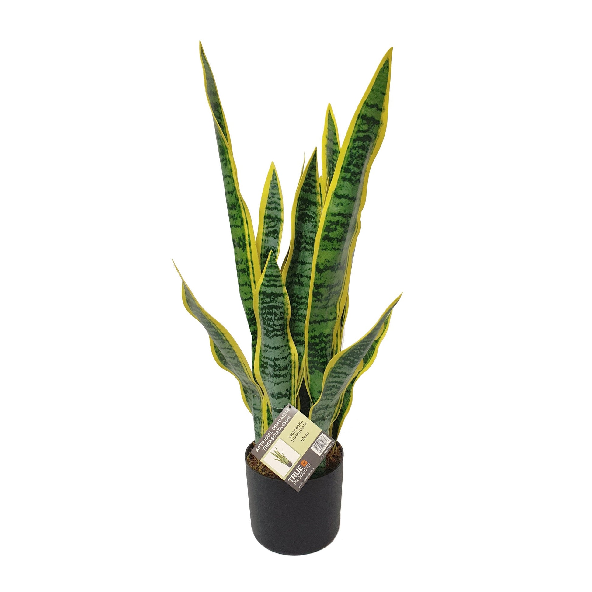 Artificial Dracaena Trifasciata Snake Plant 65cm