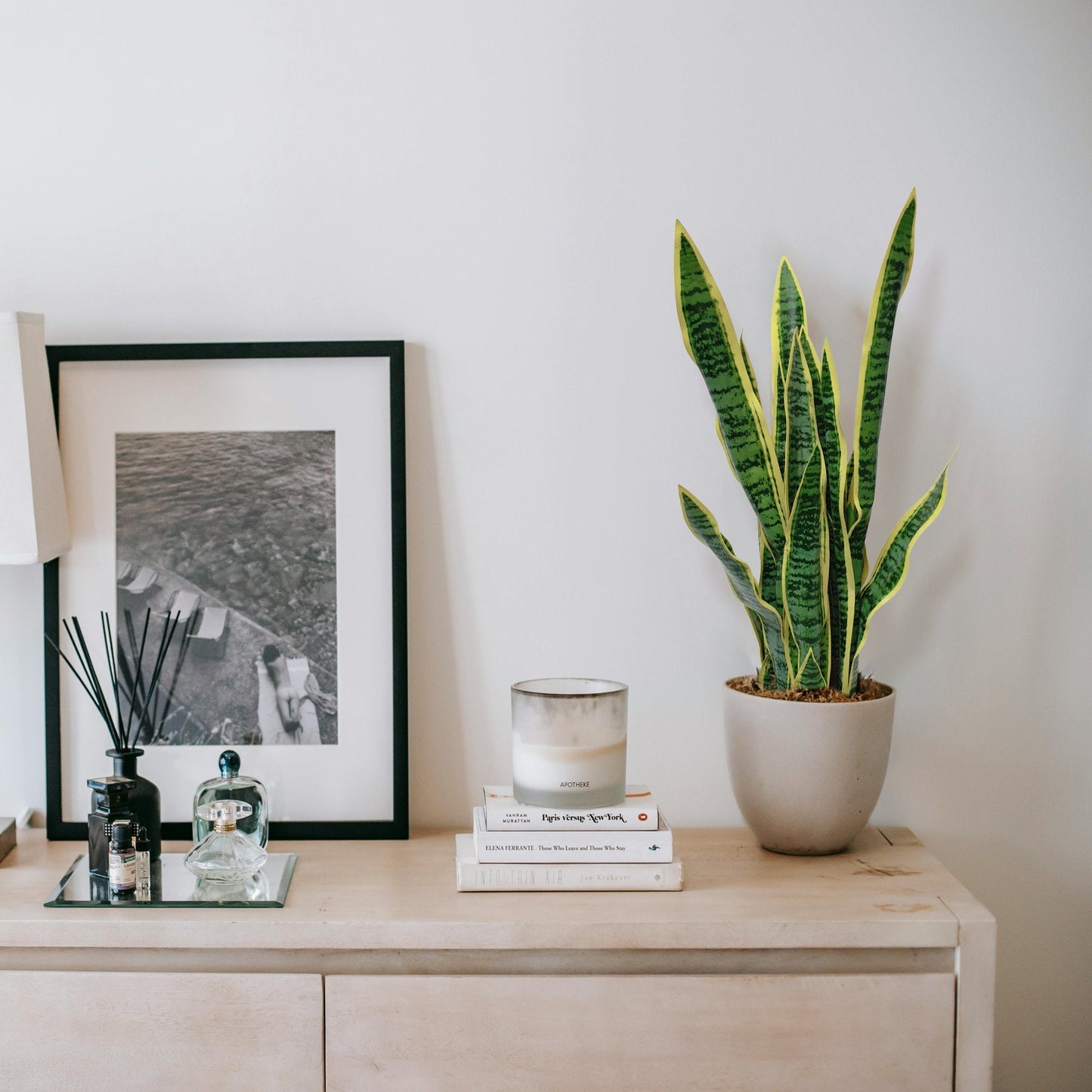 Artificial Dracaena Trifasciata Snake Plant 65cm